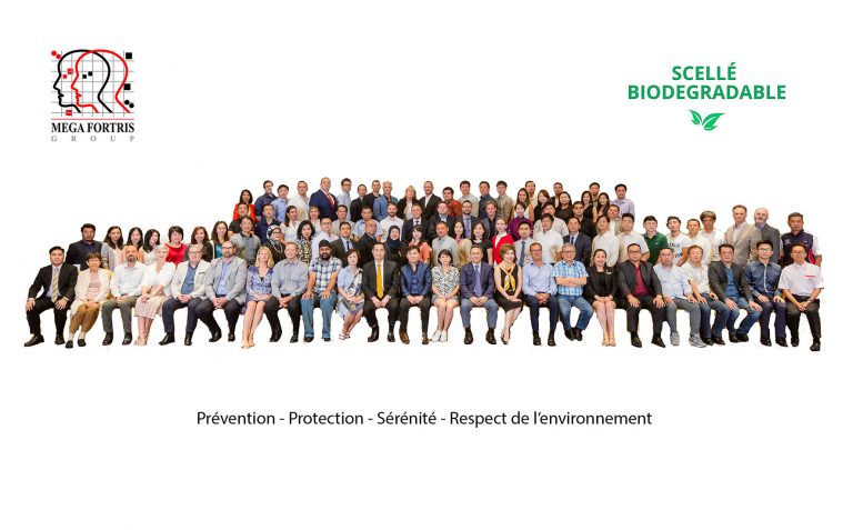 Mega Fortris Group